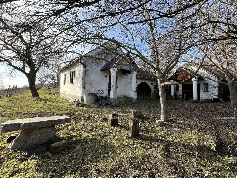 Ingatlan kép