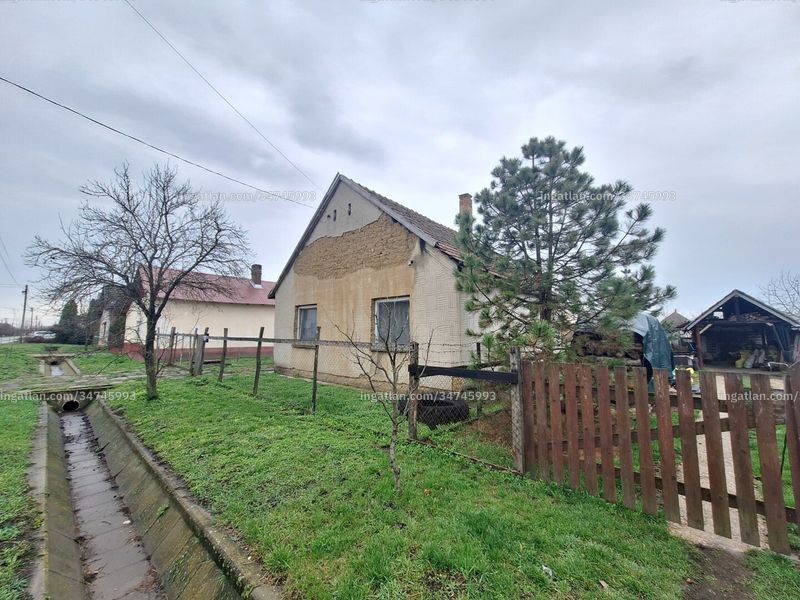 Ingatlan kép