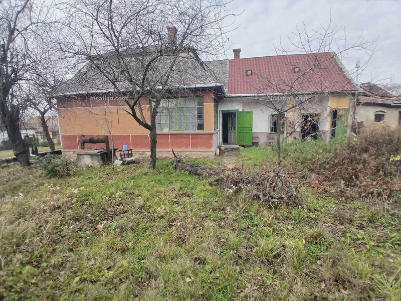 Ingatlan kép