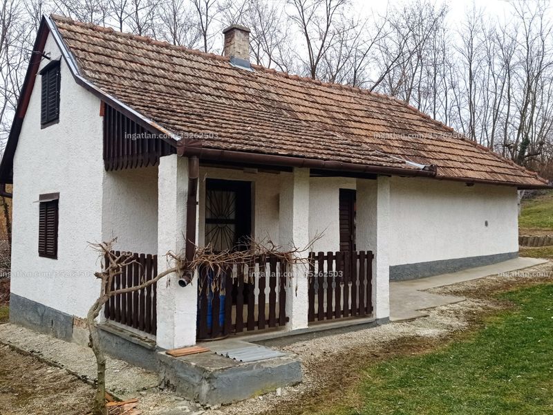 Ingatlan kép