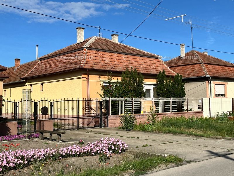 Ingatlan kép