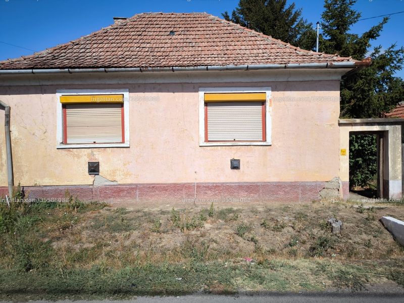 Ingatlan kép