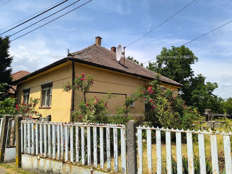 Ingatlan kép