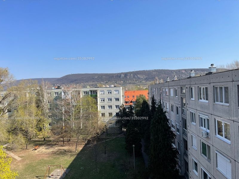 Ingatlan kép