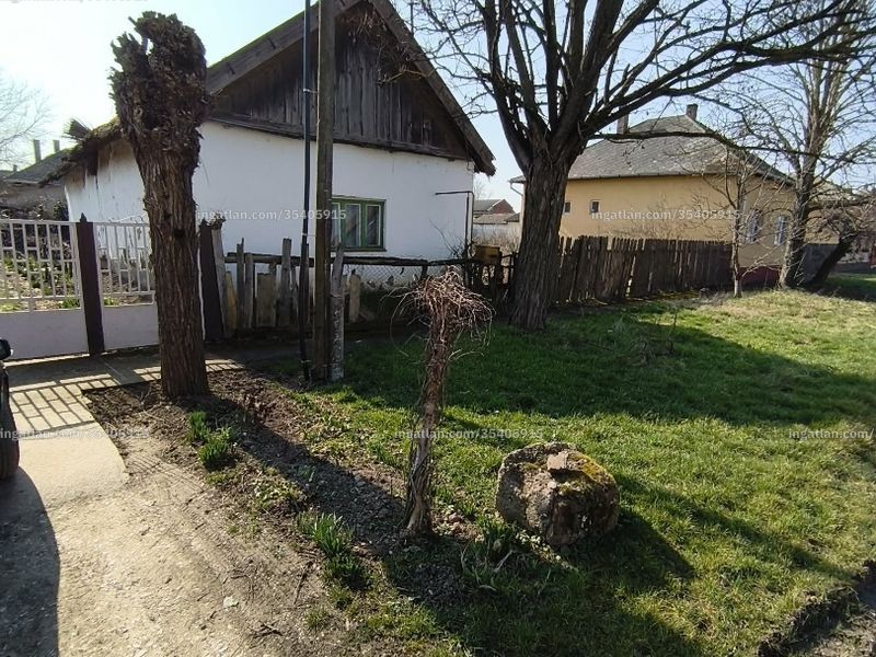 Ingatlan kép