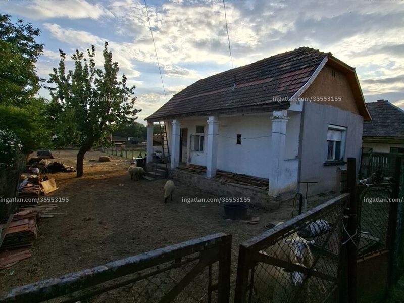 Ingatlan kép