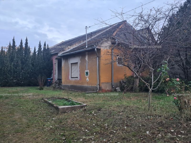 Ingatlan kép