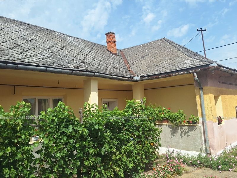 Ingatlan kép