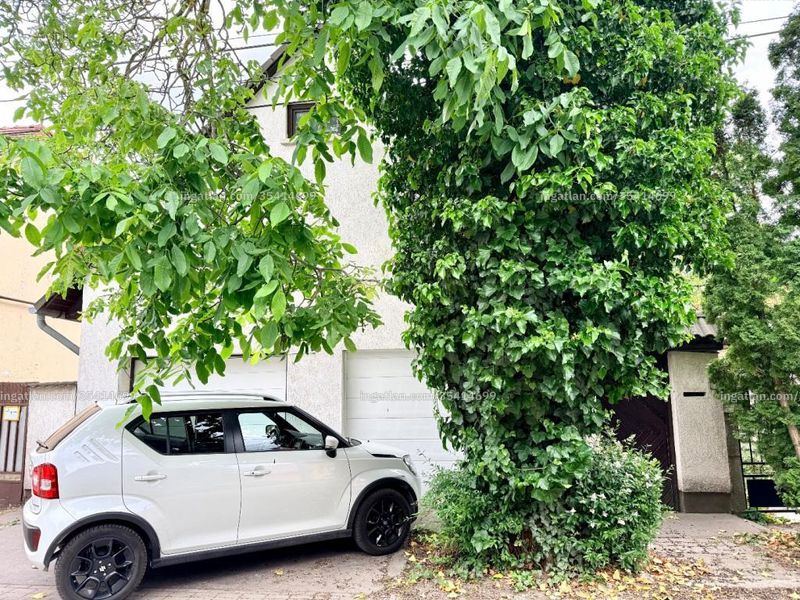Ingatlan kép