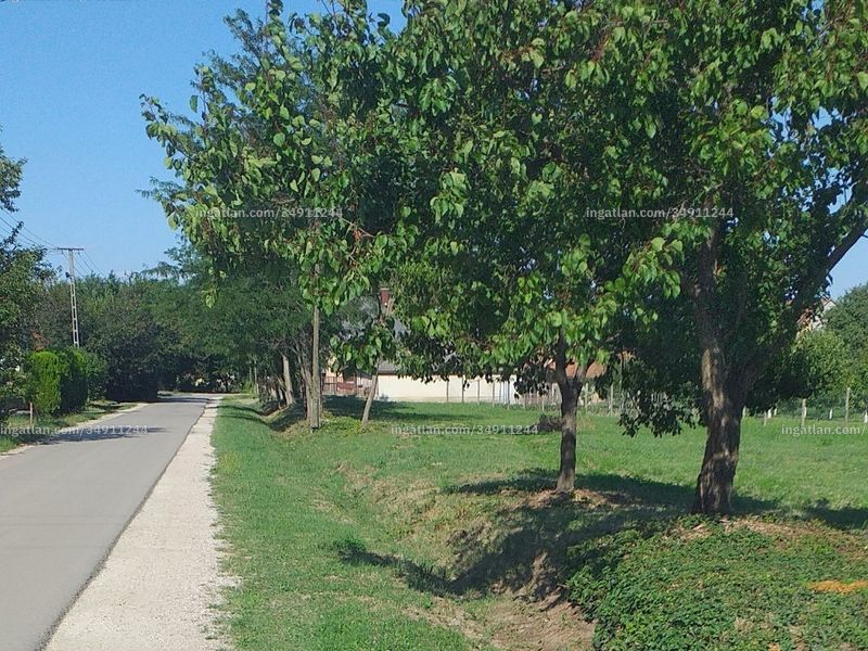 Ingatlan kép