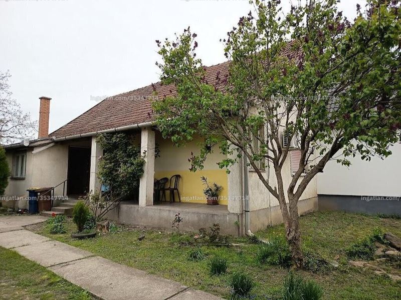 Ingatlan kép