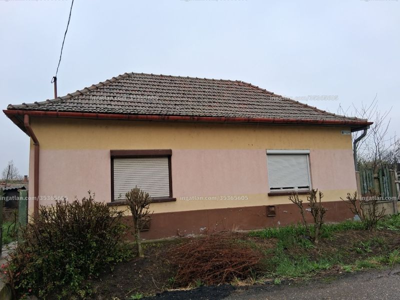 Ingatlan kép