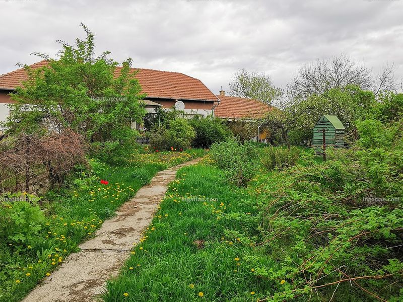 Ingatlan kép