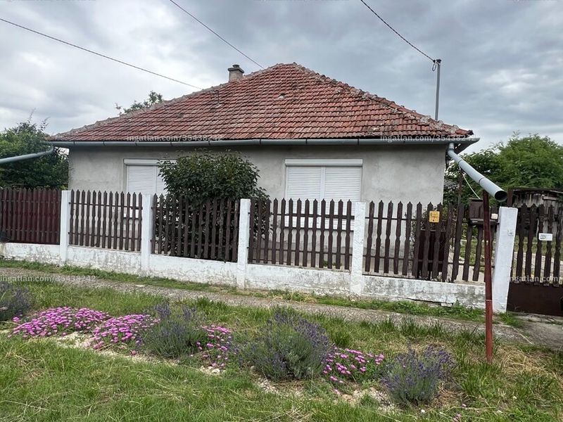 Ingatlan kép