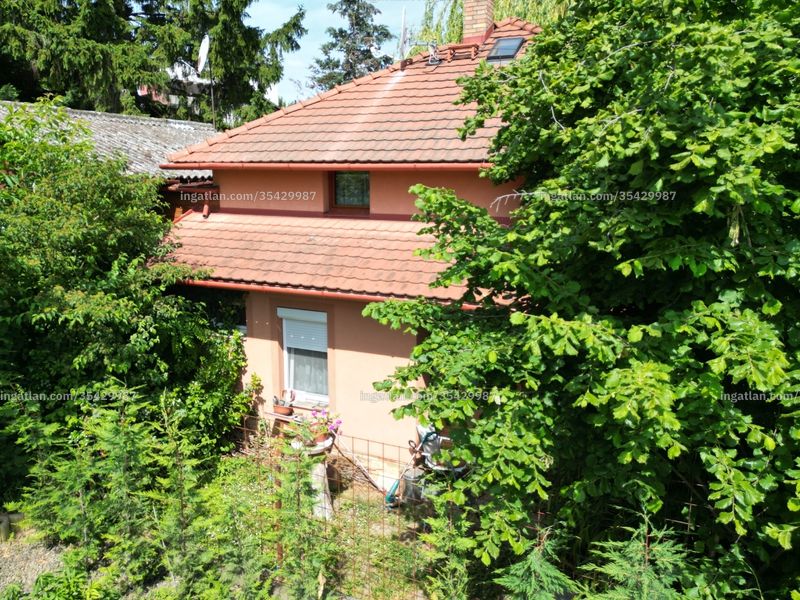 Ingatlan kép