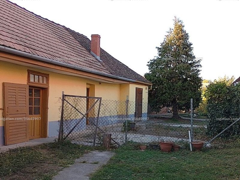 Ingatlan kép