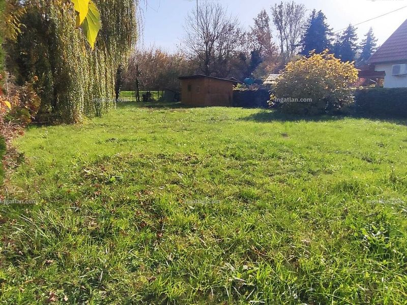 Ingatlan kép