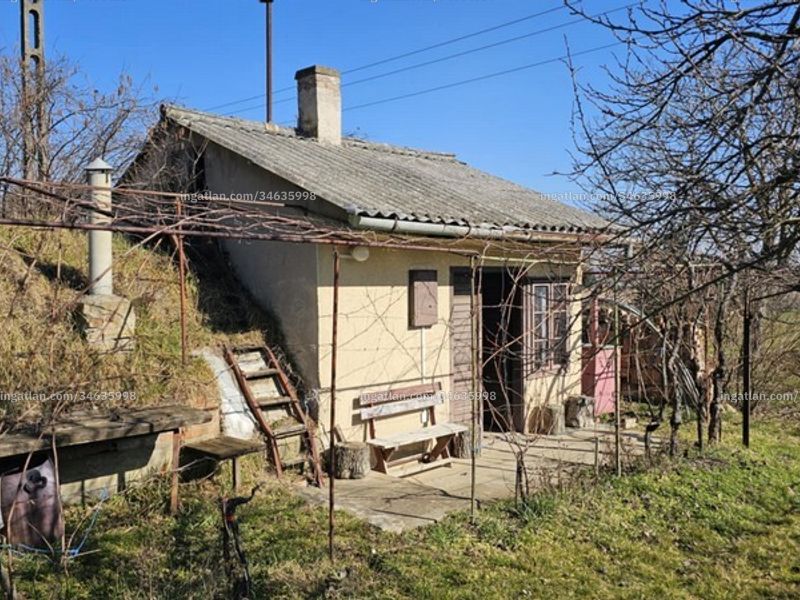 Ingatlan kép