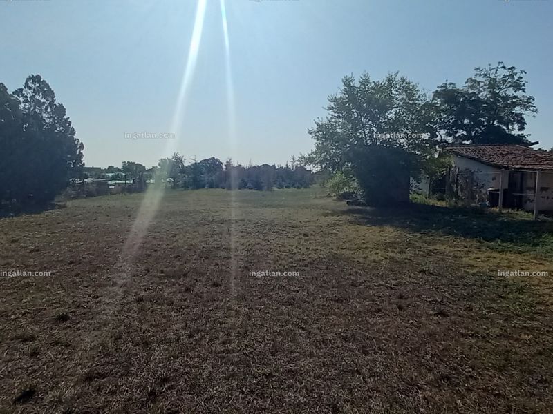Ingatlan kép
