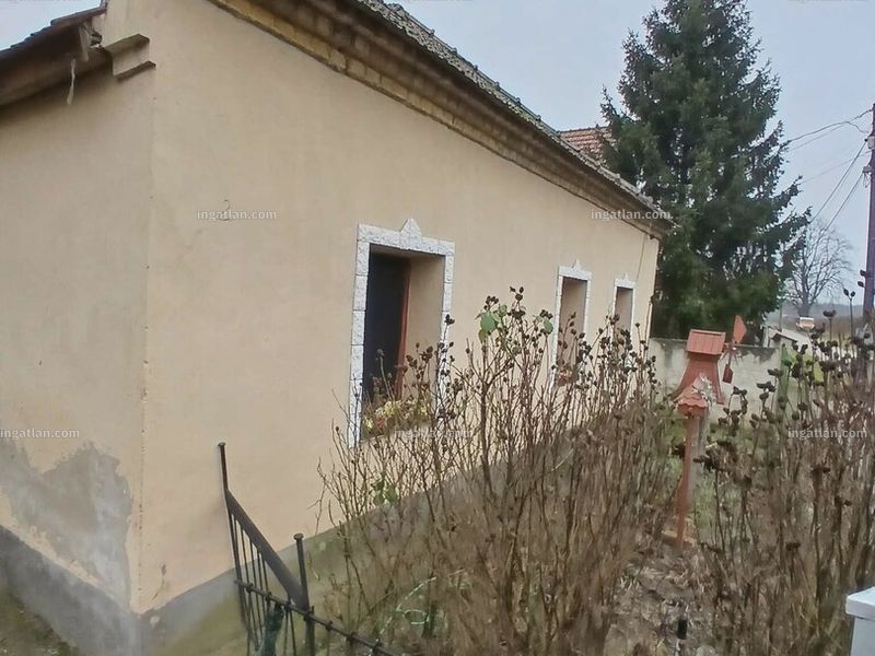 Ingatlan kép