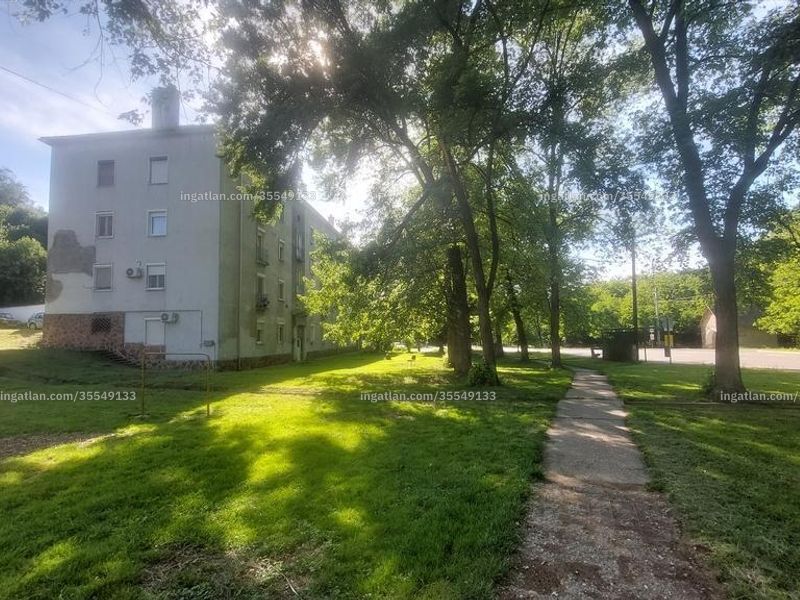 Ingatlan kép