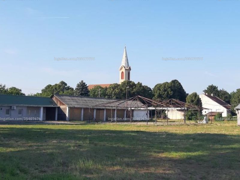 Ingatlan kép