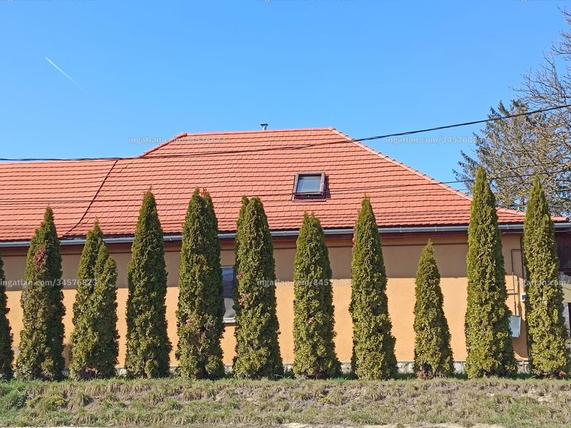 Ingatlan kép