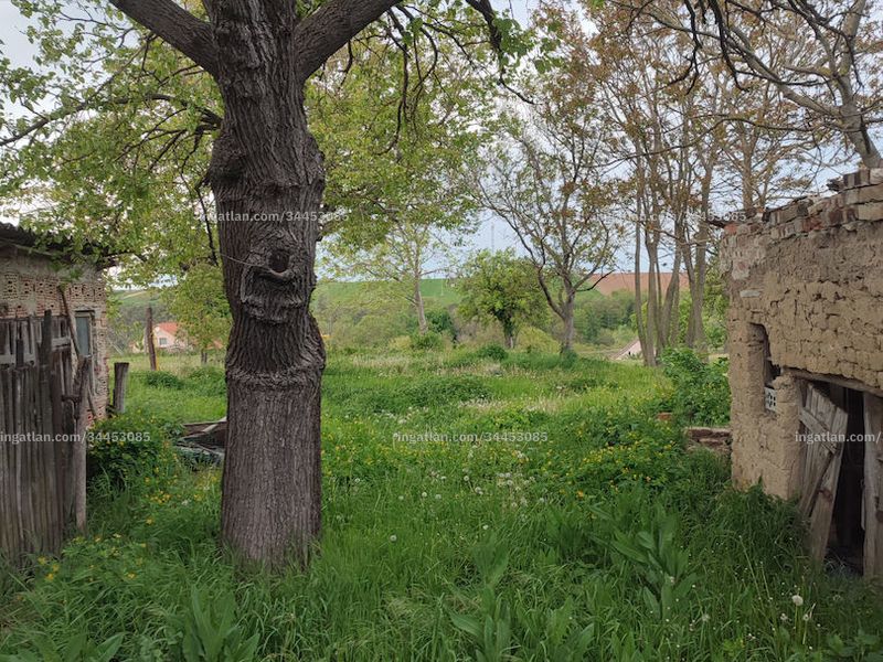 Ingatlan kép