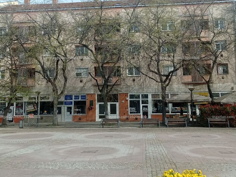 Ingatlan kép