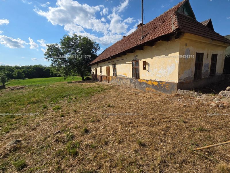 Ingatlan kép