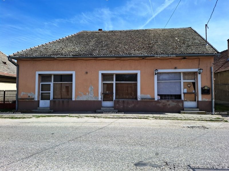 Ingatlan kép