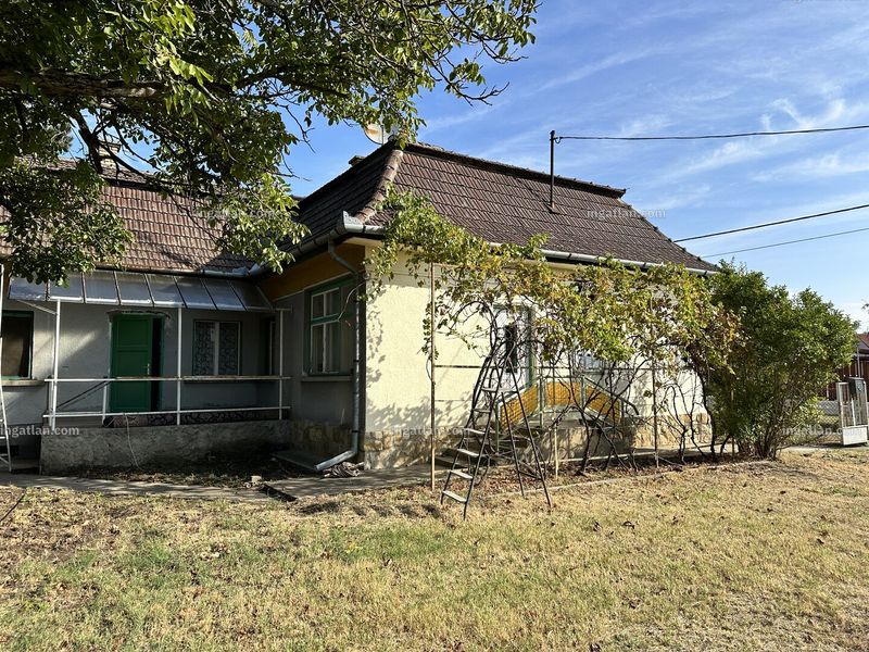 Ingatlan kép