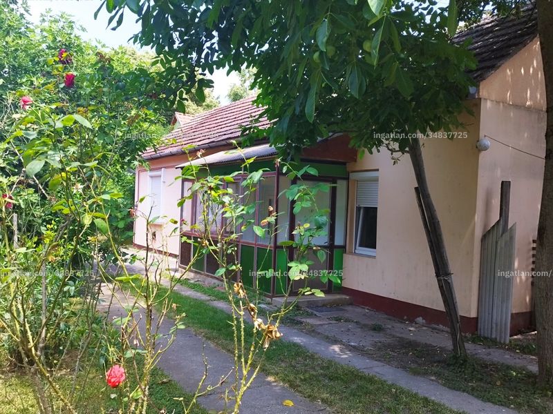 Ingatlan kép