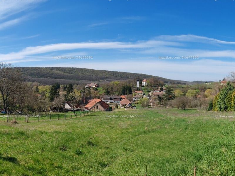Ingatlan kép
