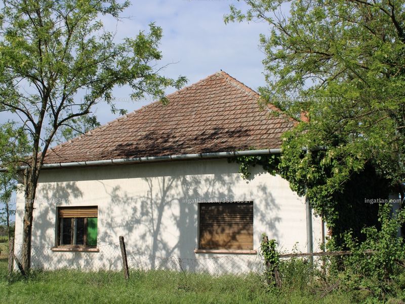 Ingatlan kép
