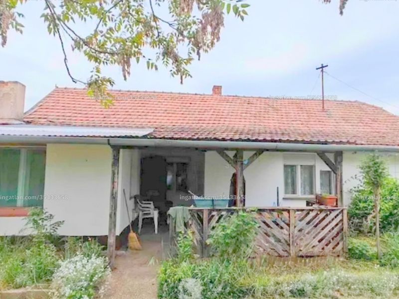 Ingatlan kép