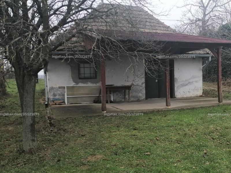 Ingatlan kép
