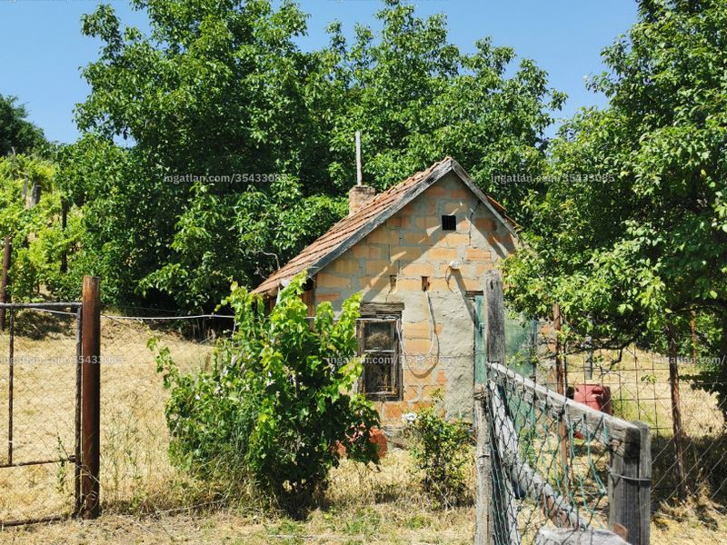 Ingatlan kép