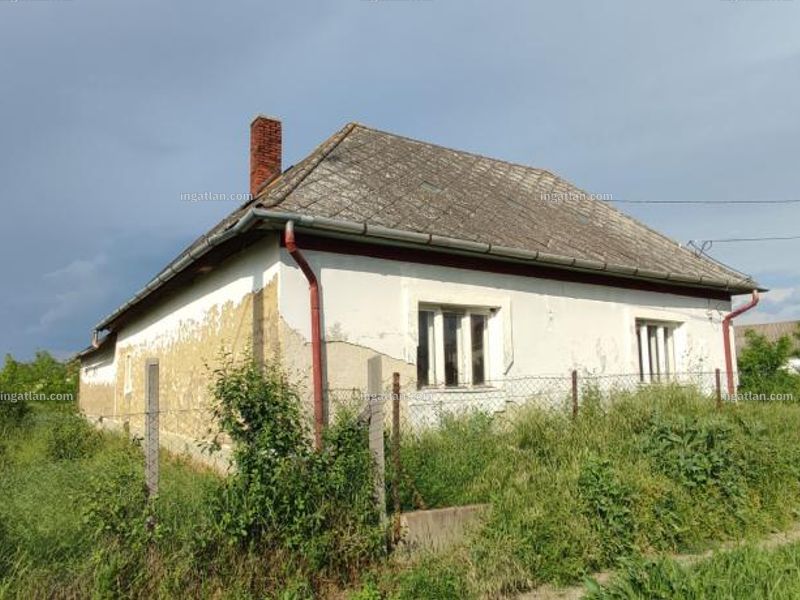 Ingatlan kép