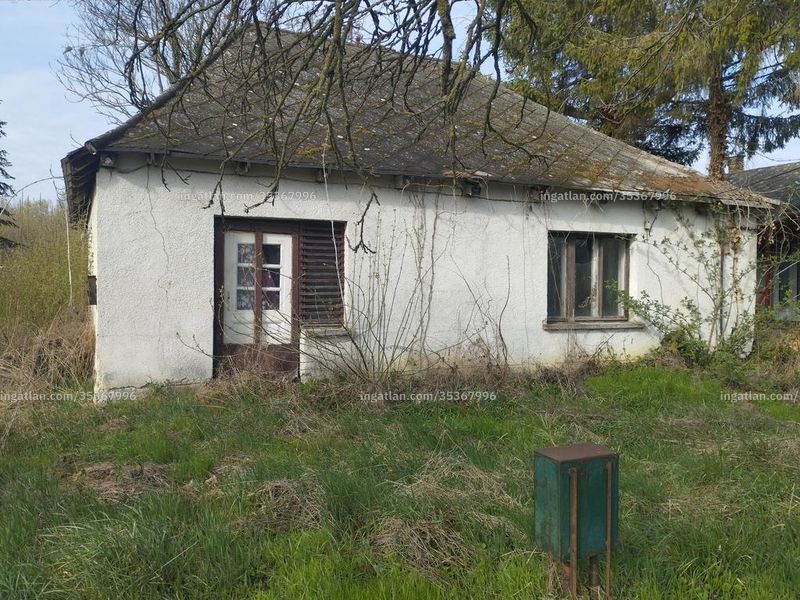 Ingatlan kép