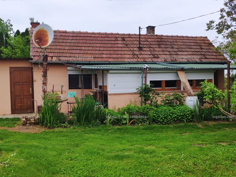 Ingatlan kép