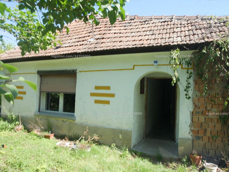 Ingatlan kép