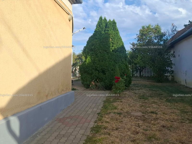 Ingatlan kép