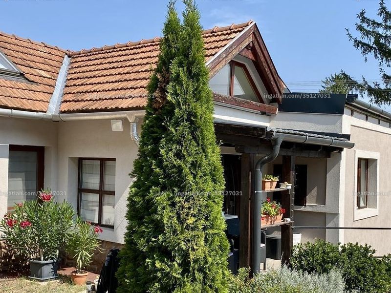 Ingatlan kép