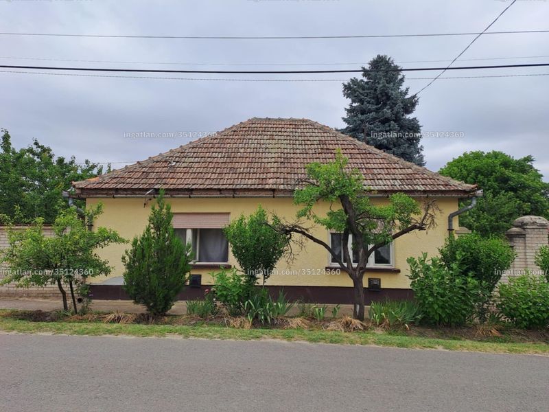 Ingatlan kép