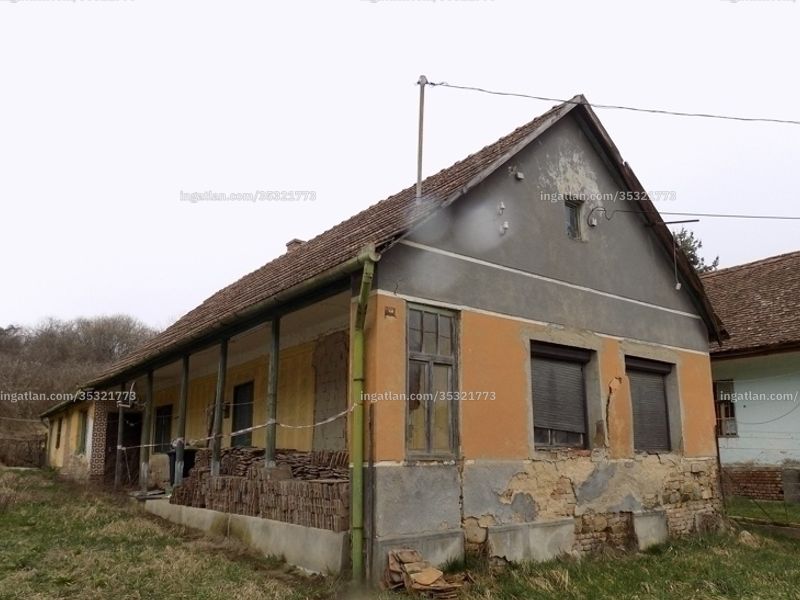 Ingatlan kép