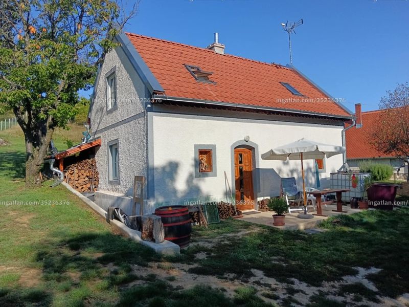 Ingatlan kép