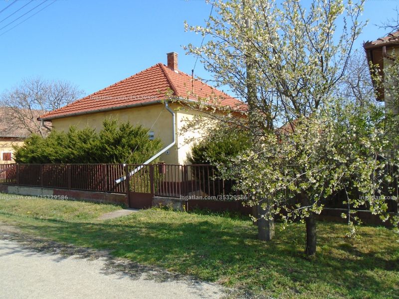 Ingatlan kép