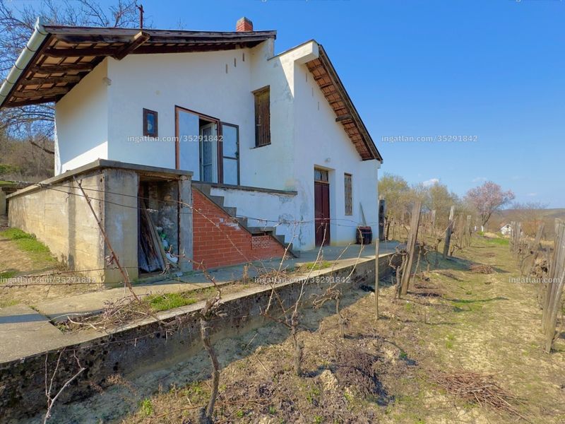 Ingatlan kép