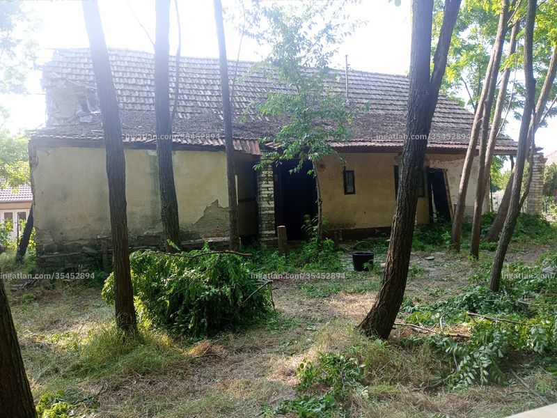 Ingatlan kép